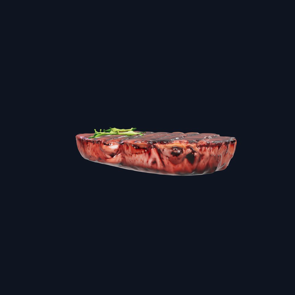 Grilled Steak Texture model pack